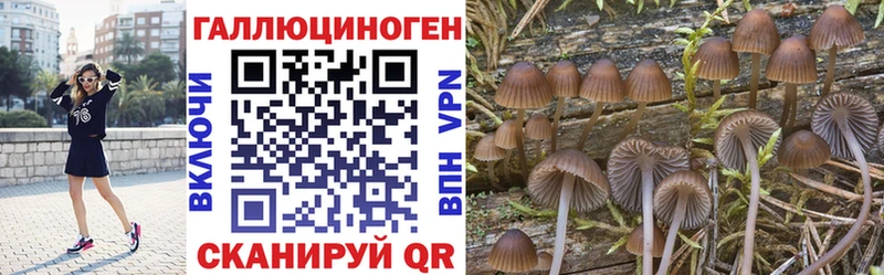 Галлюциногенные грибы Magic Shrooms Алагир